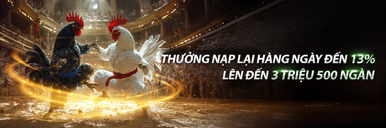 Hoàn Trả Hàng Tuần